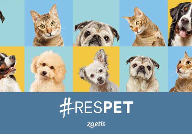 Zoetis | Respet